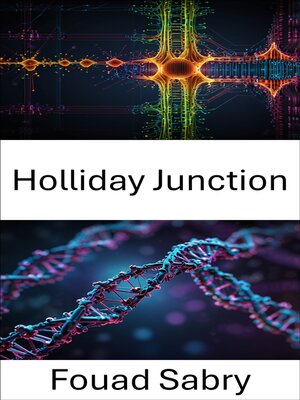 cover image of Holliday Junction